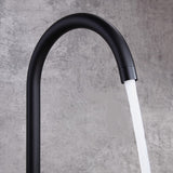 Zofia - GooseNeck Kitchen Mixer