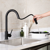 Zofia - GooseNeck Pull down Kitchen Mixer